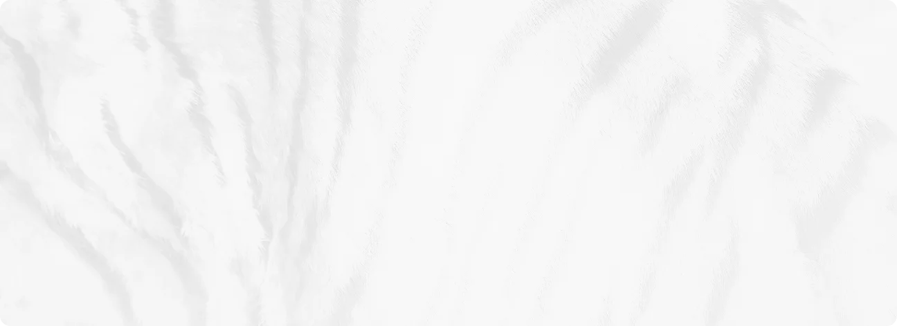 Soft white palm fronds and tropical leaves creating a minimalist botanical background texture